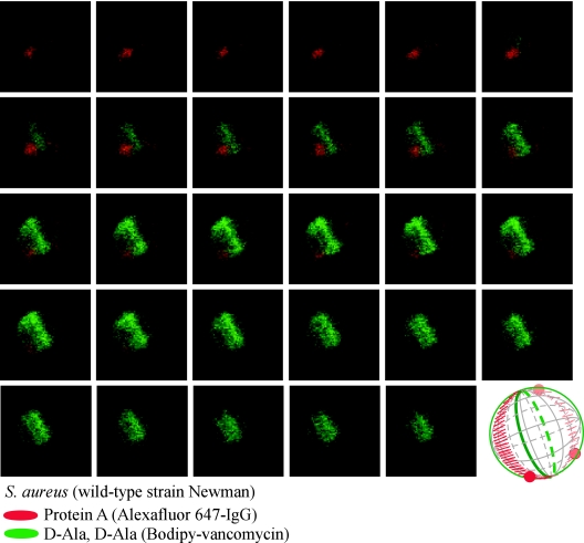 FIG. 4.