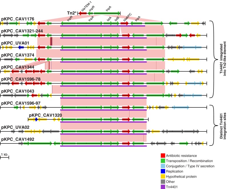 FIG 3