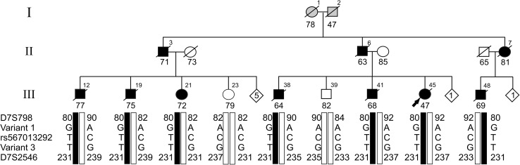 Fig. 1