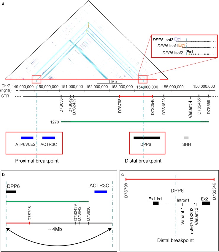 Fig. 2