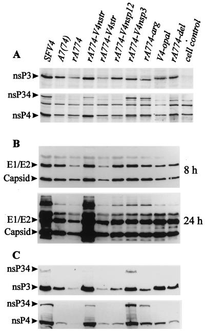 FIG. 6