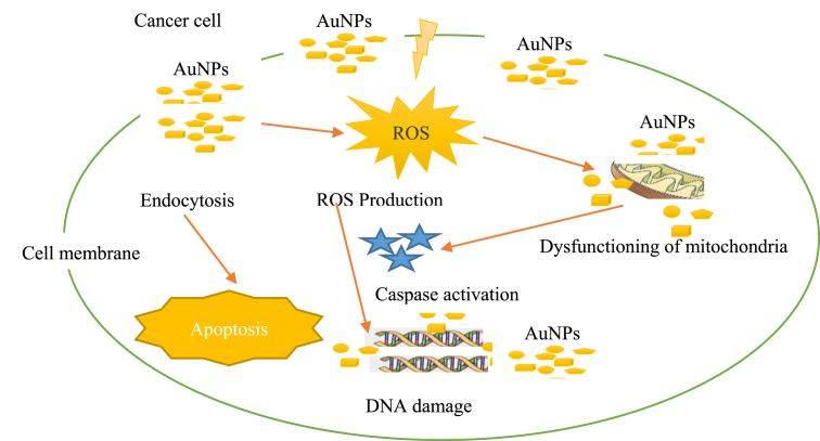 Figure 3