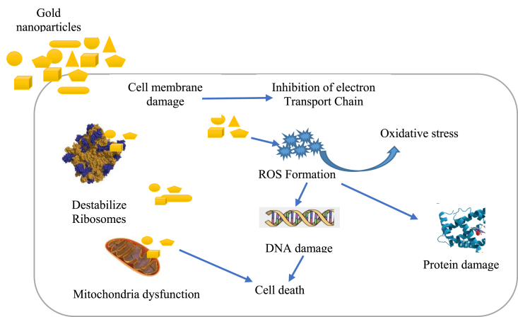 Figure 5