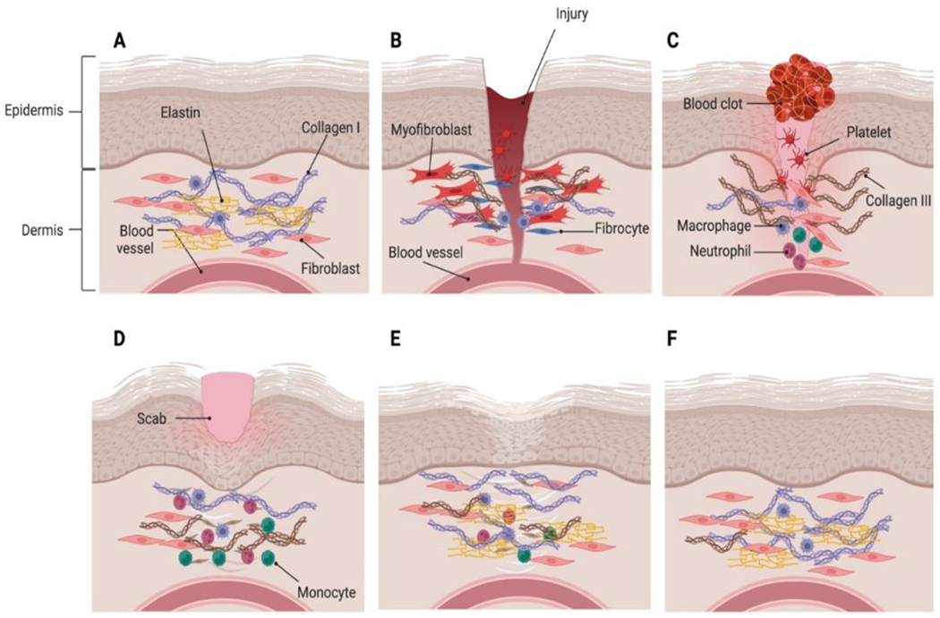 Figure 3: