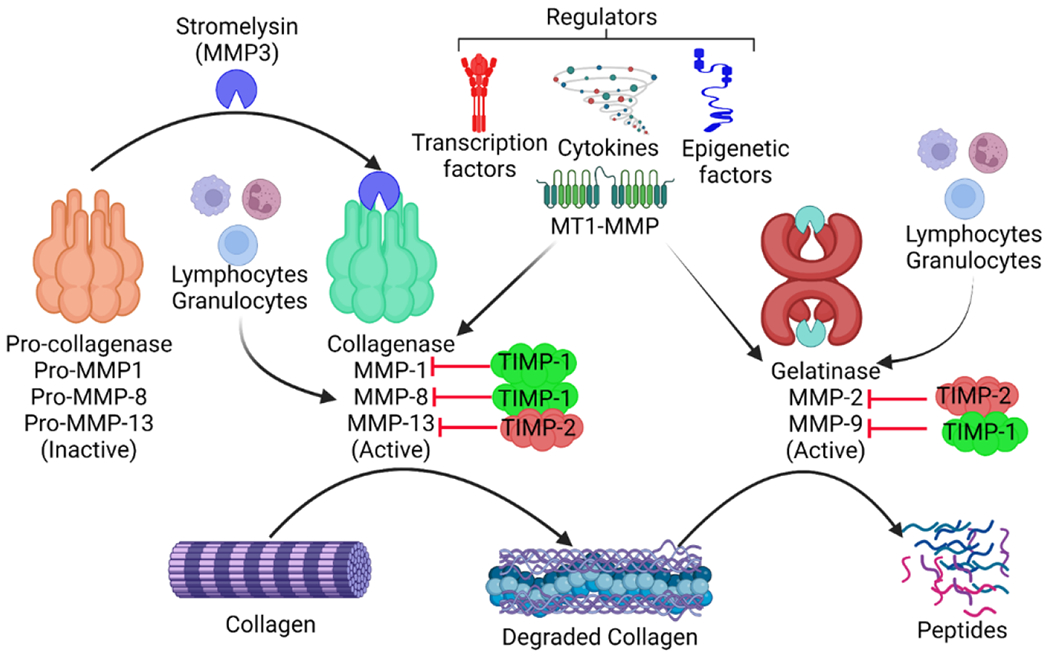 Figure 2: