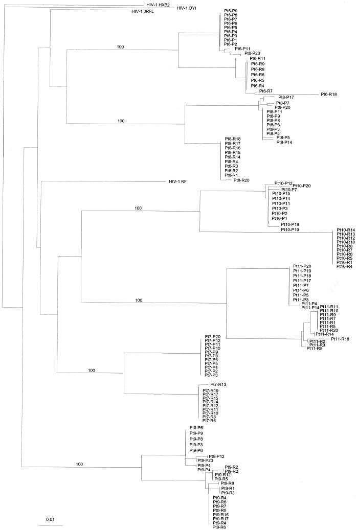 FIG. 3.