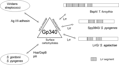 FIGURE 9.