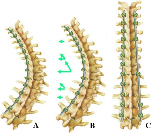 Fig. 2