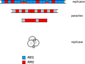 Fig. 3