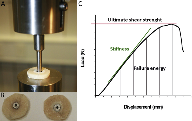 Figure 2