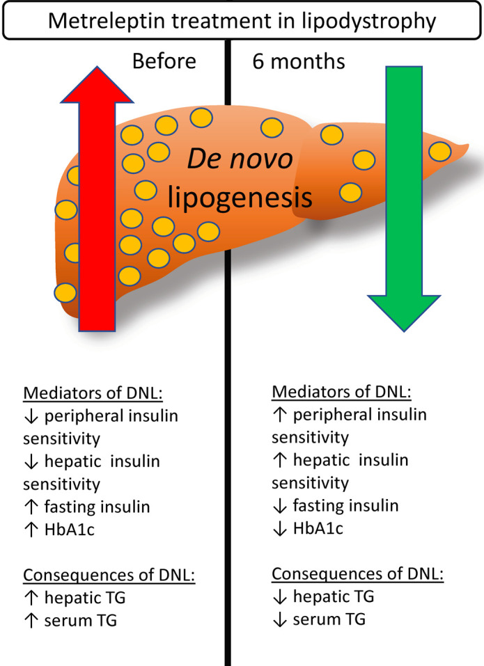 graphic file with name jciinsight-5-137180-g071.jpg