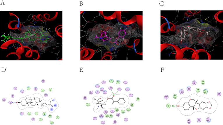 Figure 10.