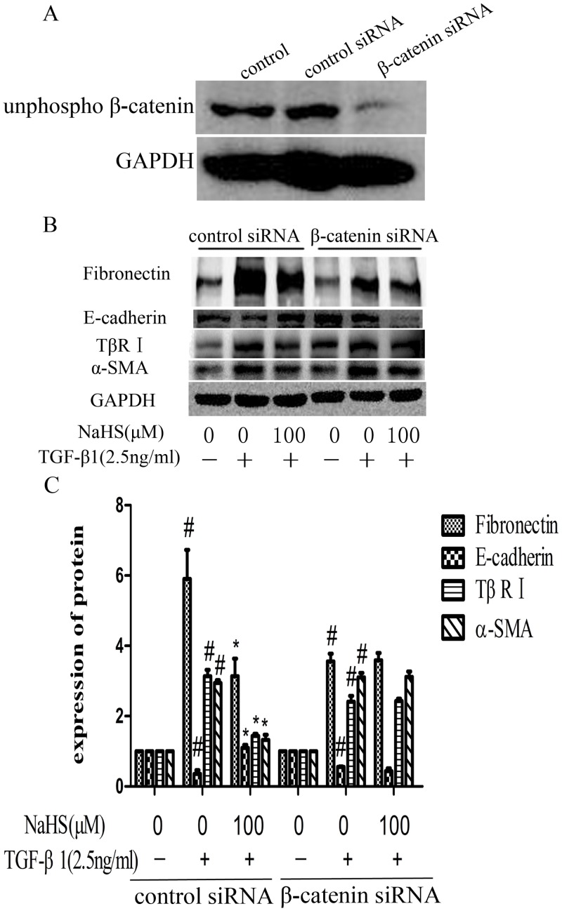 Fig 8