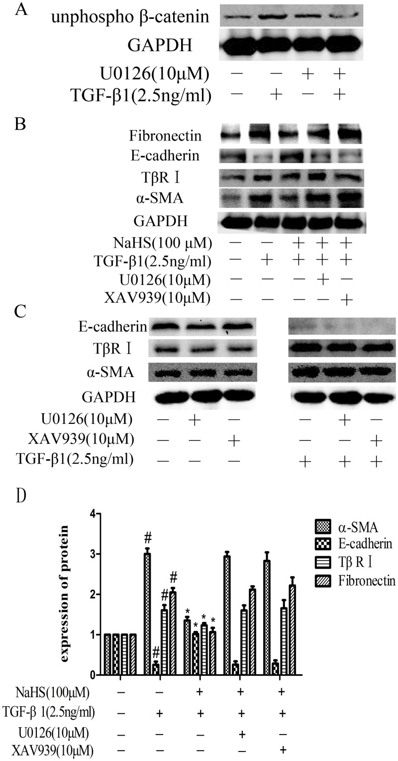 Fig 7