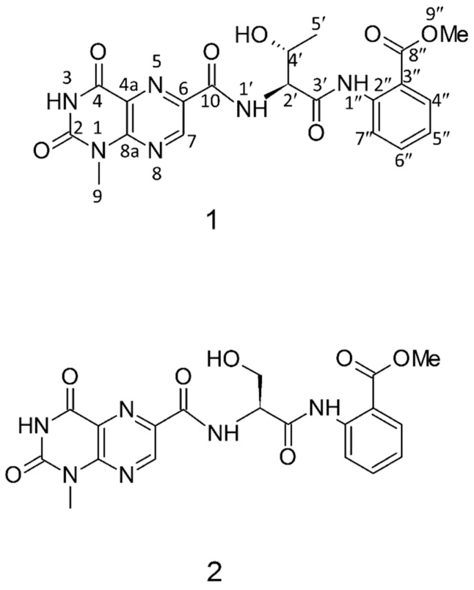 Figure 9