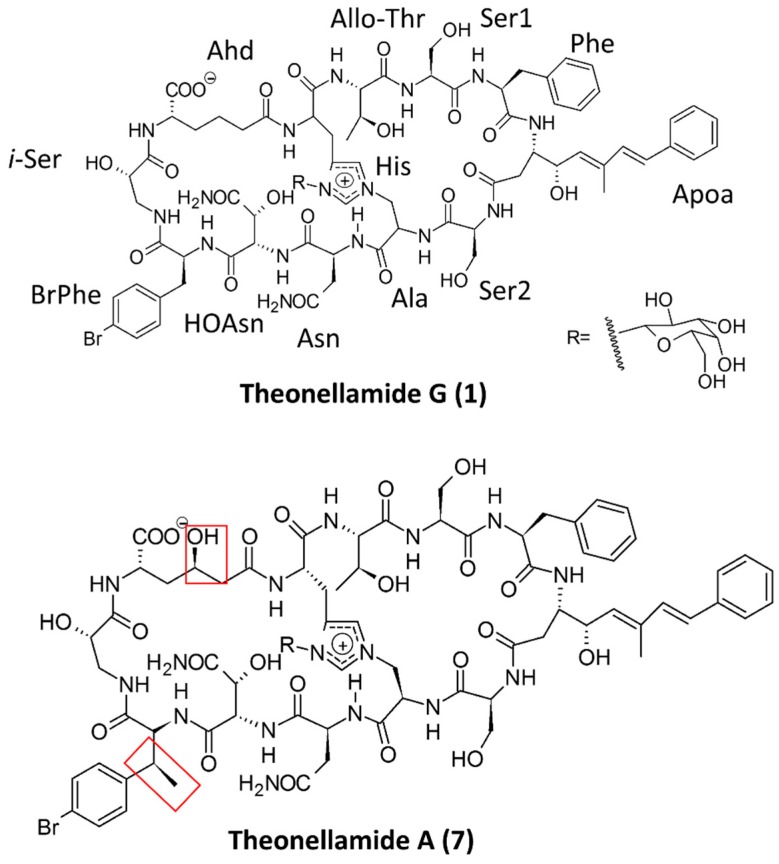 Figure 6