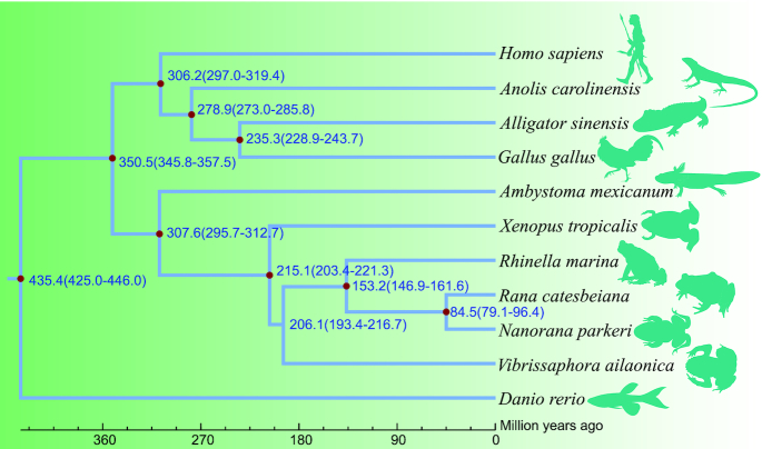 Figure 6: