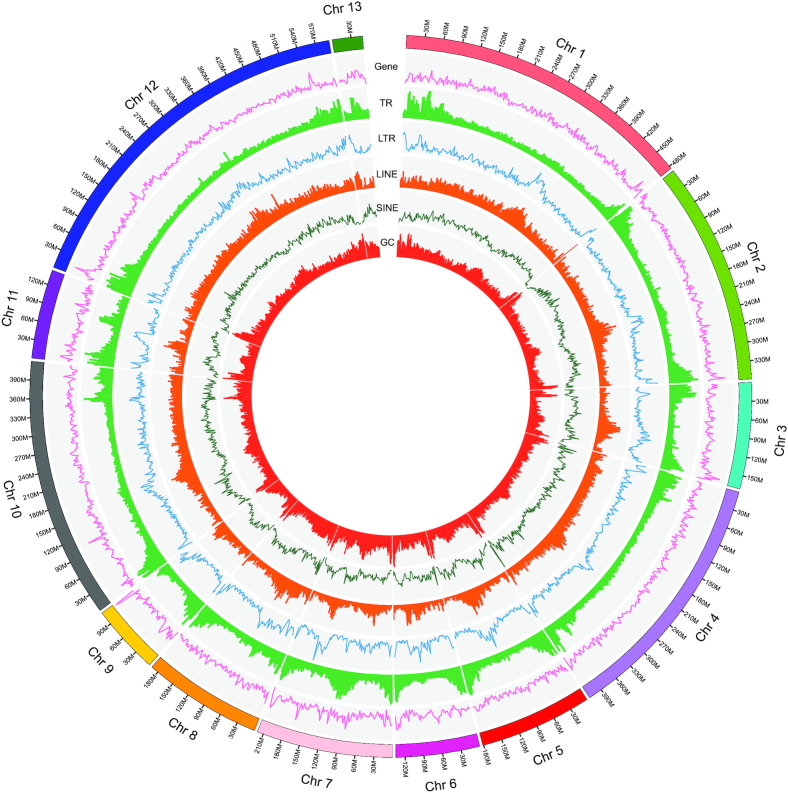 Figure 3: