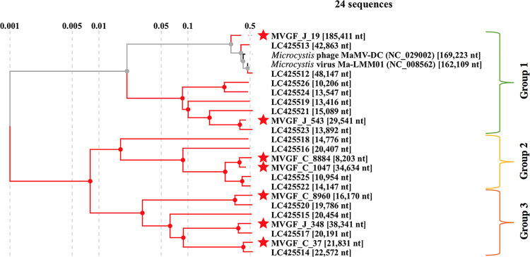 FIG 5