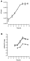 FIG. 1