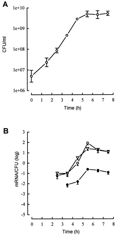 FIG. 1