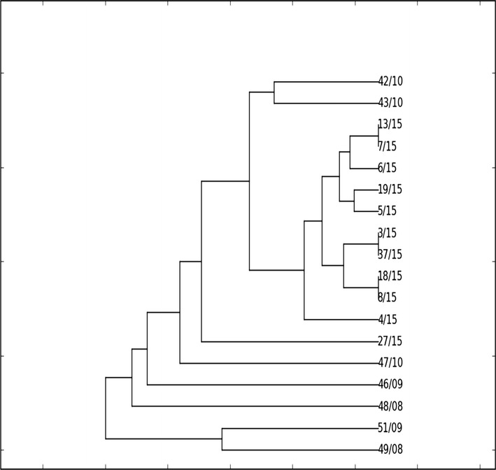 Fig. 2