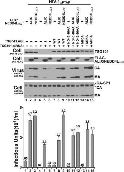 FIG. 6.