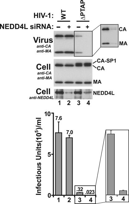 FIG. 4.