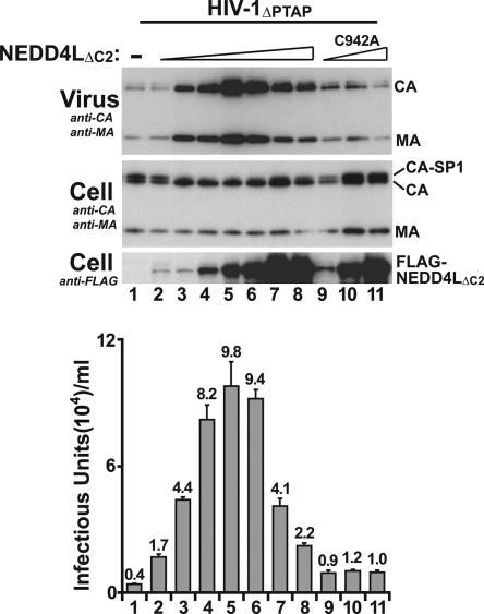 FIG. 3.