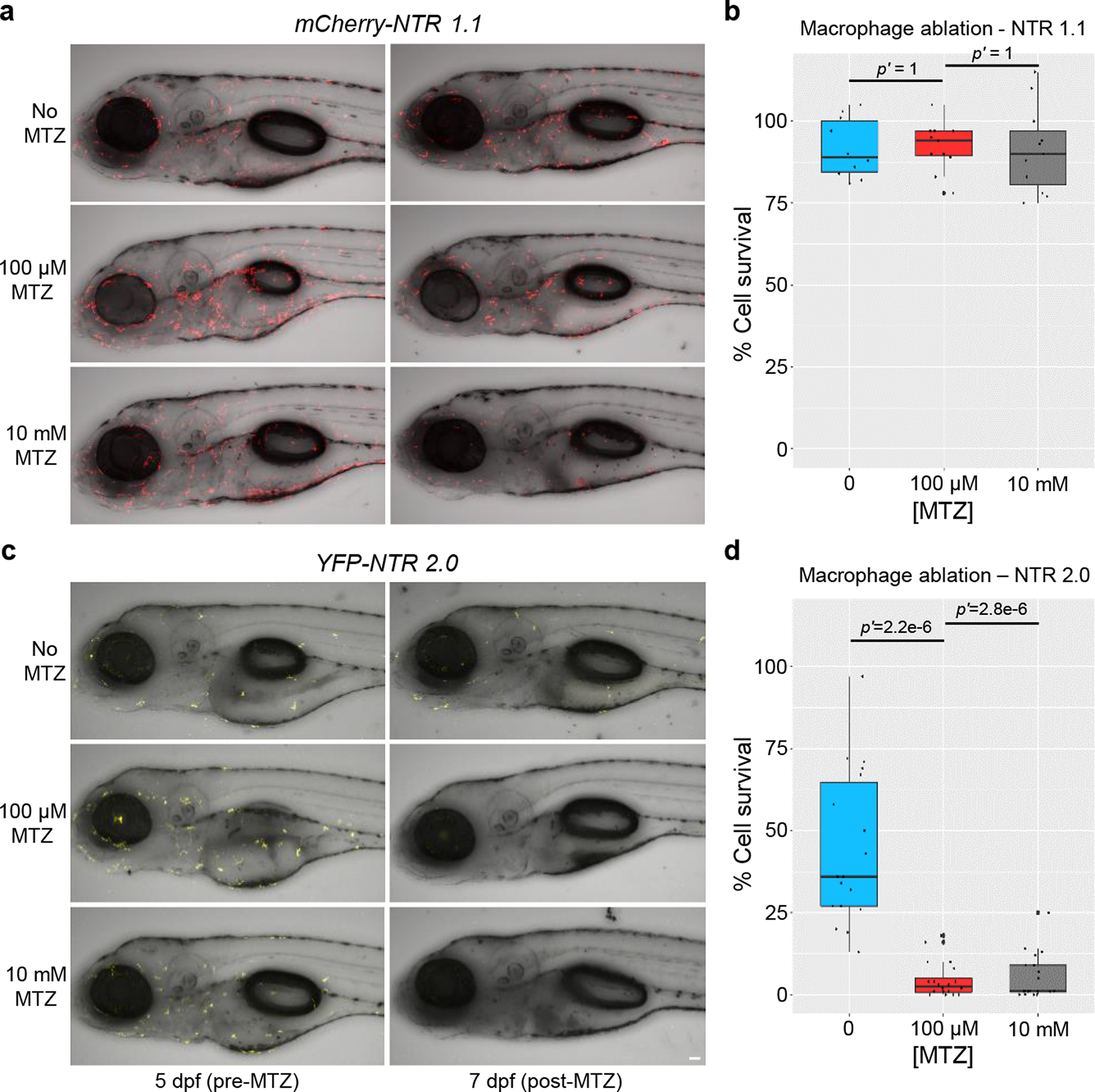 Fig. 6: