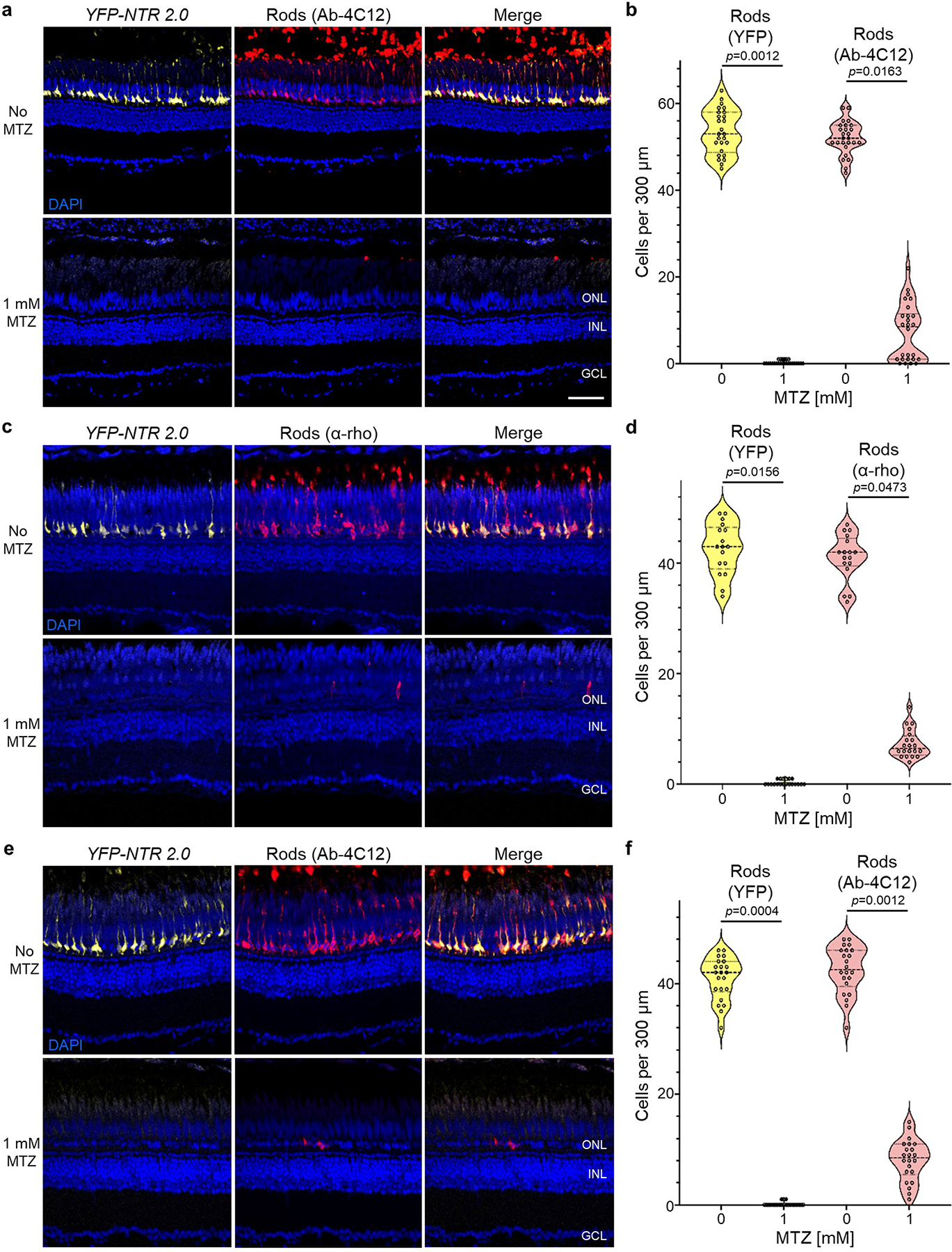 Extended Data Fig. 3