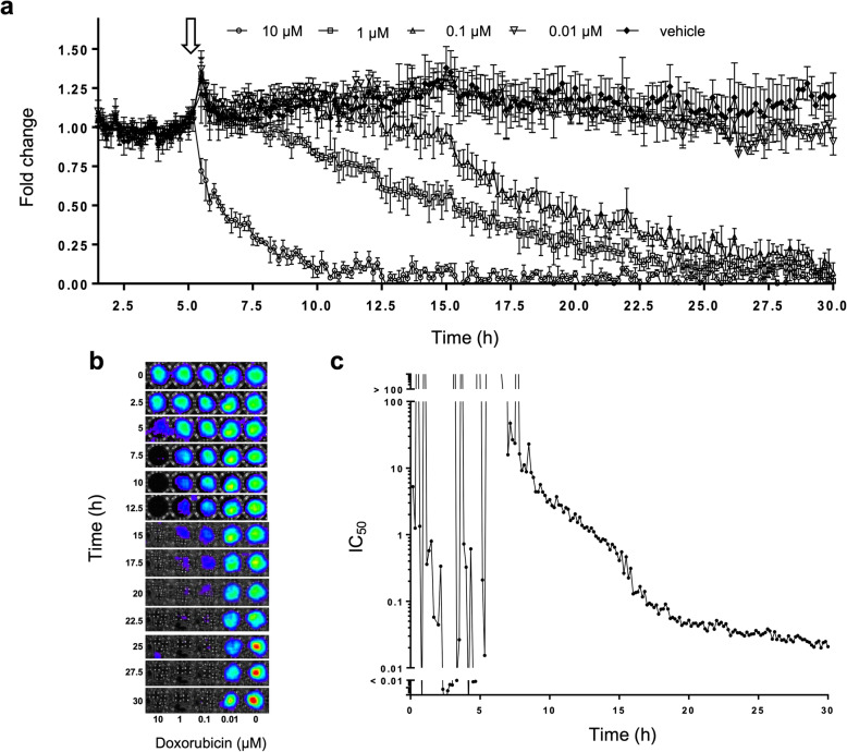 Fig. 4.