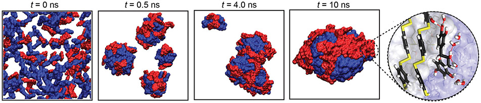 Fig. 8