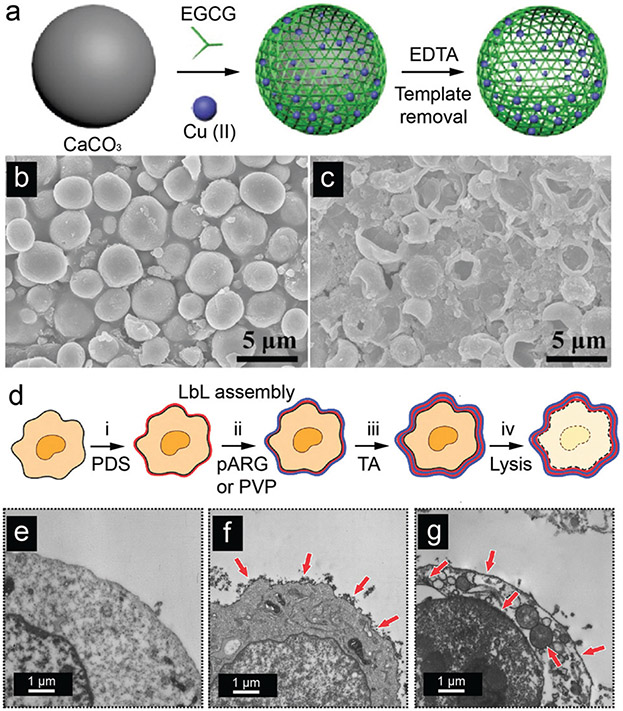 Fig. 14