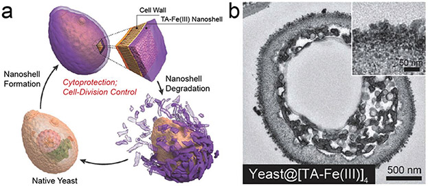 Fig. 10