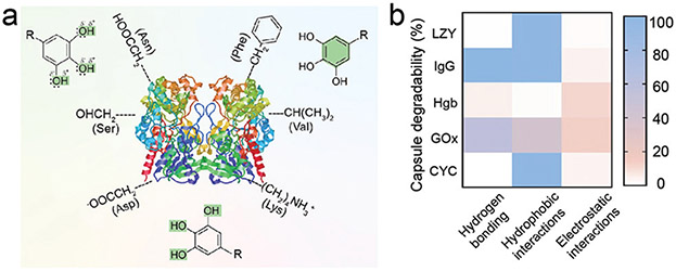 Fig. 9