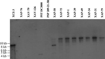 FIG. 6.