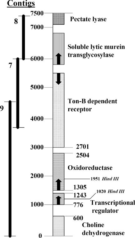 FIG. 3.