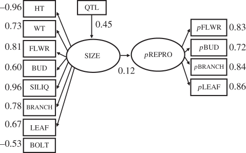 Figure 4.