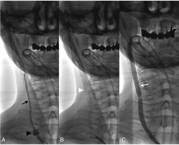 Figure 7