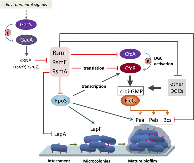 FIGURE 4