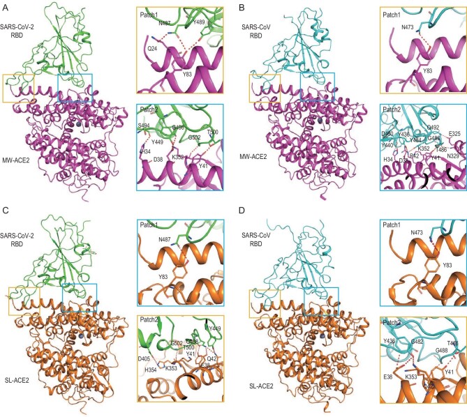 Figure 2.