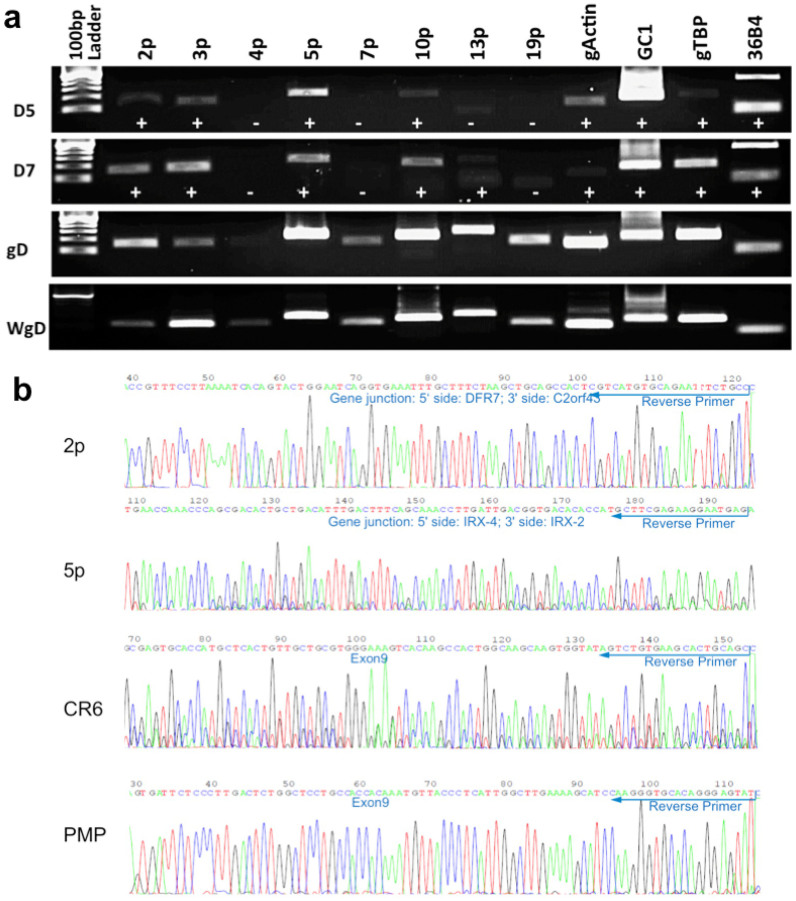 Figure 5