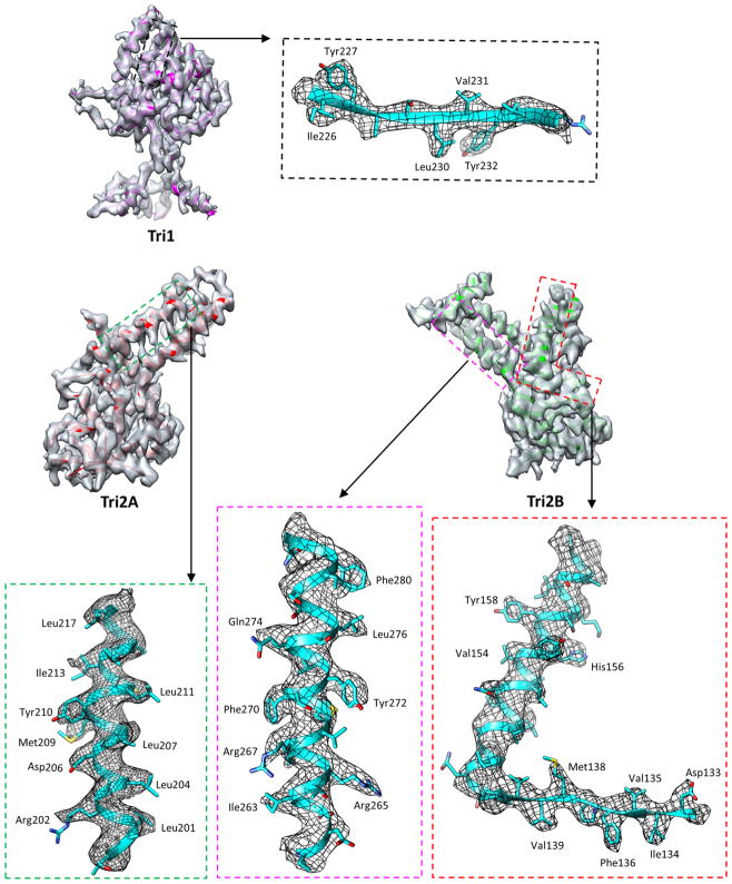 Extended Data Figure 4