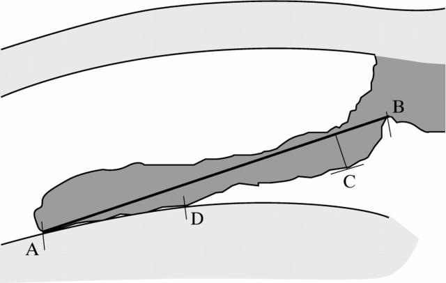 Figure 1  