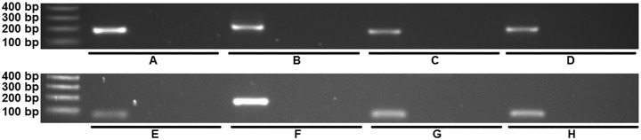 FIG 4 