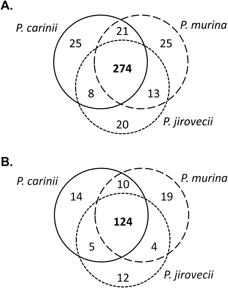 FIG 2 