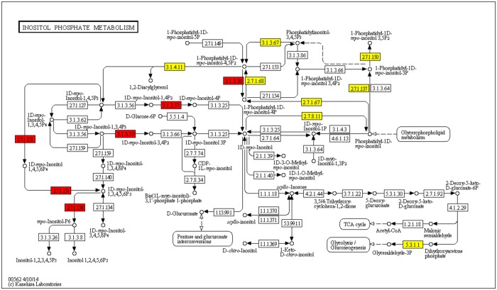 FIG 3 