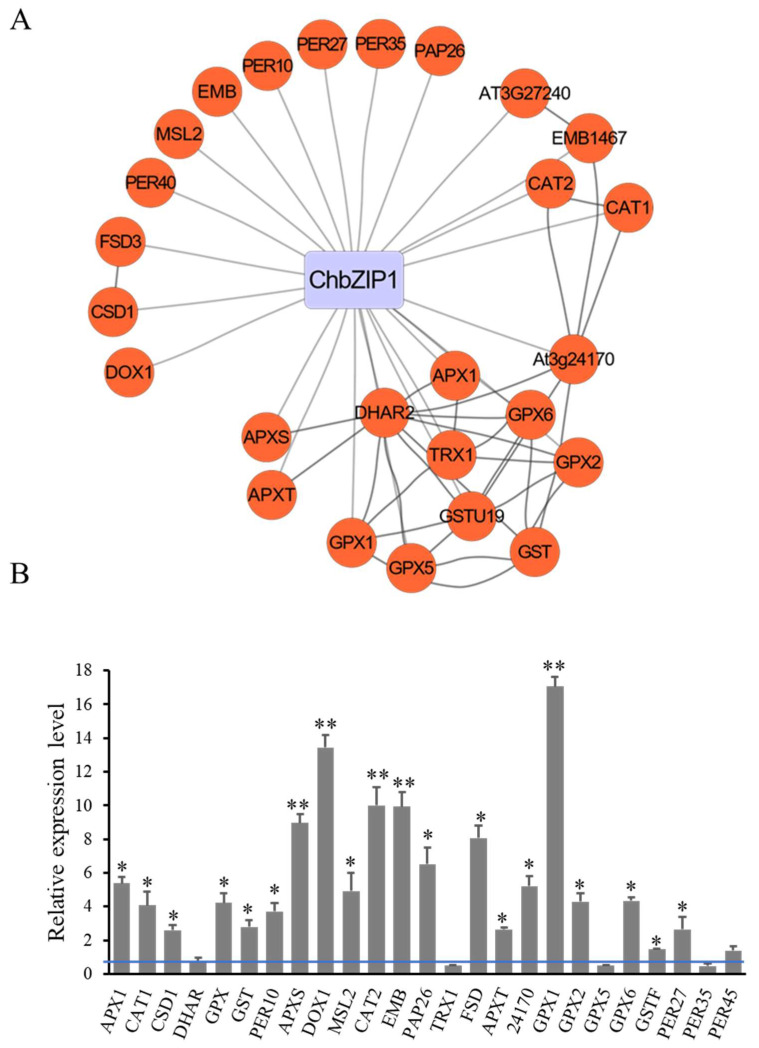 Figure 6