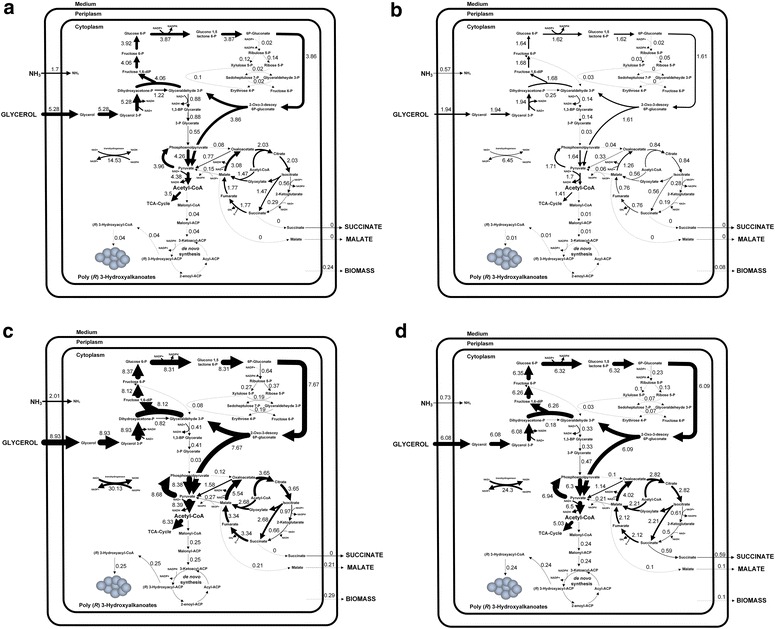 Fig. 2